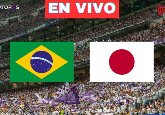 Viví por RELATORES los 16avos de final: Brasil-Japón, Alemania-Paraguay y Países Bajos-Marruecos
